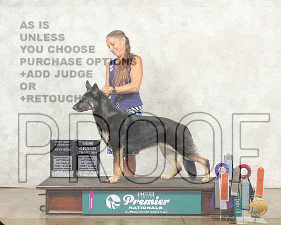 German Shepherd Dog #1353 BOB__MJ_9630_Premier_2022_HR3