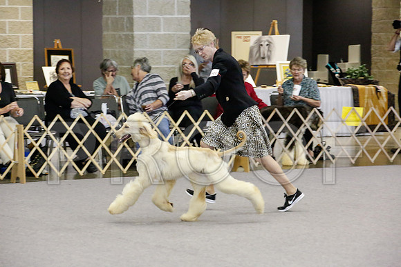 _JJ_1613-AfgBeltonOct2014-HR3