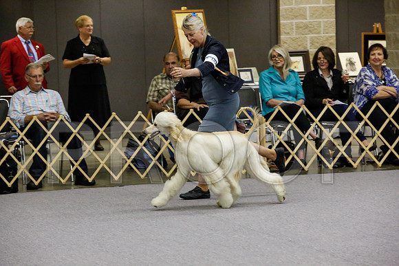 _JJ_9396-AfgBeltonOct2014-HR3