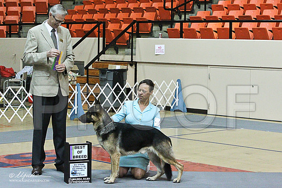 win photo-5786LR