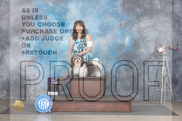 Havanese #11 Thur WDCH Judge Jon Cole__JP_4873_Amarillo_2024_HR3