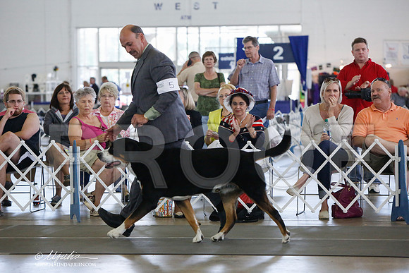 _JJ_1696-DallasJul2014-HR3