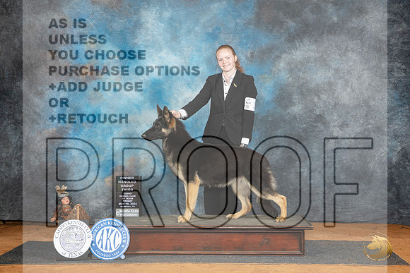 German Shepherd Dog #10 Sat WBBOWBOBOHBOBOHG3 Judge Sheryl Kendrick__JP_8297_MARSHALL_2024_HR3