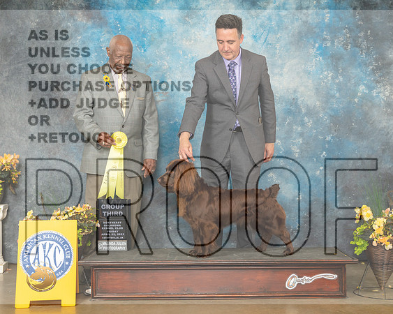 Boykin Spaniel #6 Fri G3 Judge Eugene Blake-MMJ_9789-NWARK2022-HR3