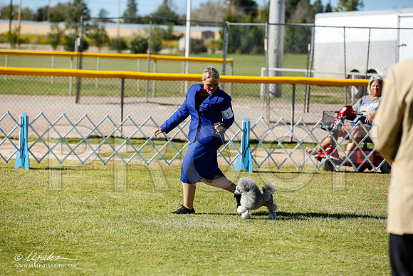 _JN_9547-AlamogordoOct2014-HR3