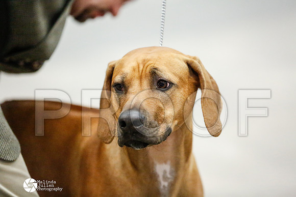 _RH_1506-AblnMay2014-web