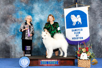 Samoyed #10 WED WB Judge Mary Ellen Ferguson