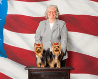 Yorkshire Terriers #9 #11 Sun Williams Janice Anne Wylie May Keeling CUSTOM