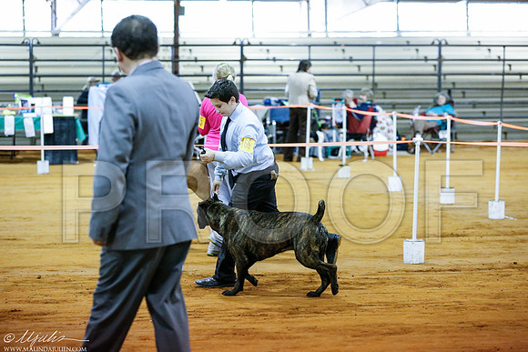 _RH_2572-MarshDec2014-HR