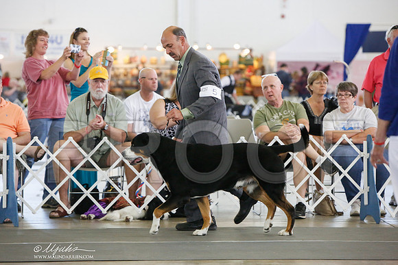 _JJ_1701-DallasJul2014-HR3