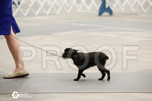 _CK_7184-AblnMay2014-web