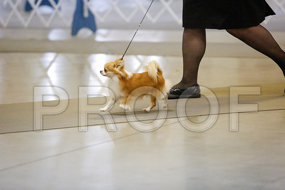 _JJ_8712-AmarilloSept2014-HR3