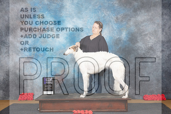 Borzoi #10 Sun WBM Judge Pat Trotter__JP_0447_Sulphur Springs_2024_HR3