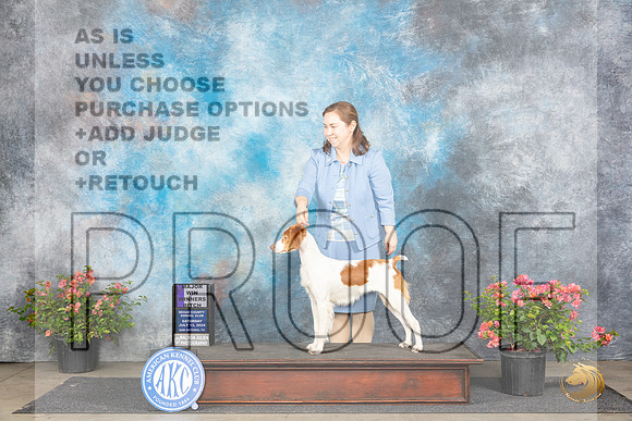 Brittany #10 Sat WBM Judge Christie Martinez__JP_4823_San Antonio_2024_HR3