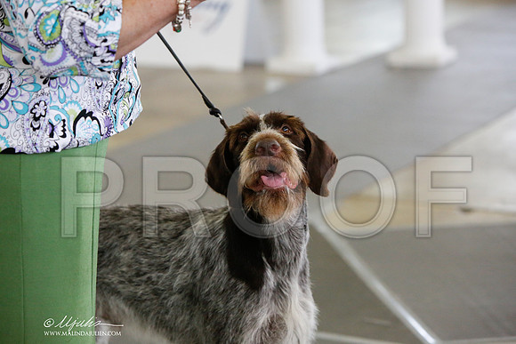 _JJ_1303-DallasJul2014-HR3