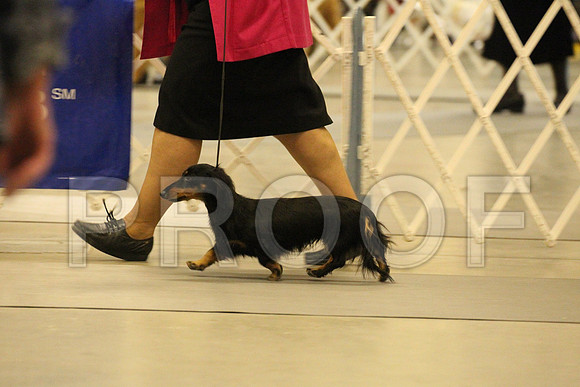 MJS_0138