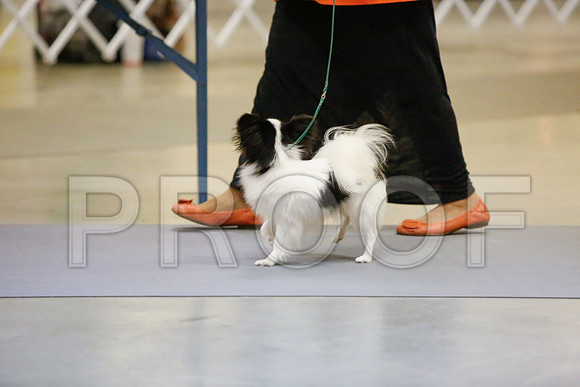 _JJ_1737-AmarilloSept2014-HR3