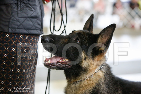 _JJ_3109-DallasJul2014-HR3