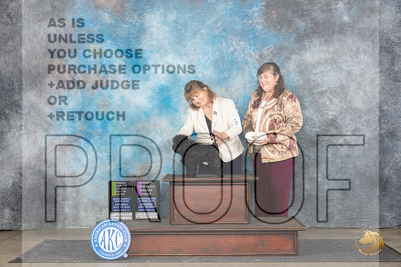 Affenpinscher #6 Sat OHRBIS Judge Polly Smith OHG1 Judge Beth __JP_5680_San Antonio_2024_HR3