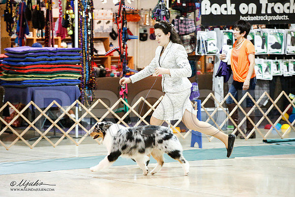 _JJ_6963-ASCACollegeStationNov2014-HR3