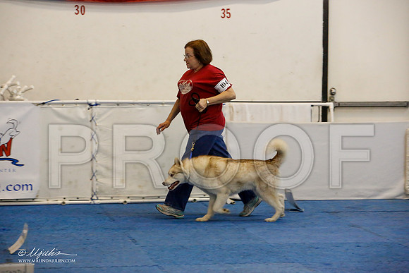 _M3_7632-AddisonHuskyMar2015-HR3