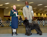Bouviers Des Flanders #7 Fri Select Reid Wilbert Richard Brower Judge Mrs Carolyn A Herbel
