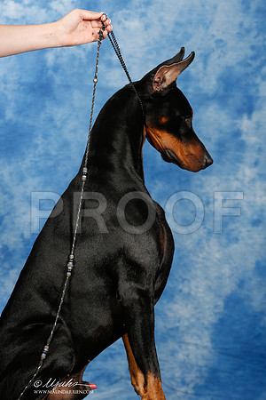 _ST_6968_2-SAJul2014-HR3