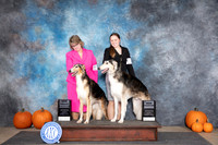 Borzoi #18 #7 Fri NCH NGCH Judge Ann Roth