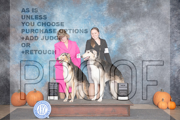 Borzoi #18 #7 Fri NCH NGCH Judge Ann Roth__JP_8696_Humble_2024_HR3