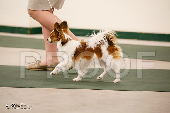 _JN_9096-NrmnNov2014-HR3