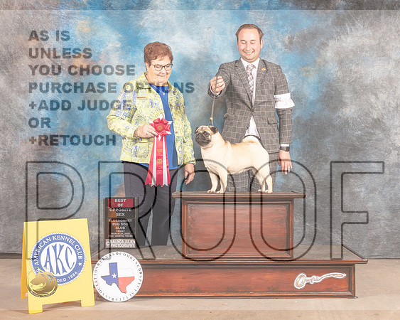 Pug #14 Fri BOS Judge Pam Peat-MMJ_7163-FW2022-HR3