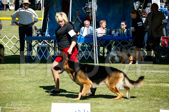 _JJ_5465-AlamogordoOct2014-HR3