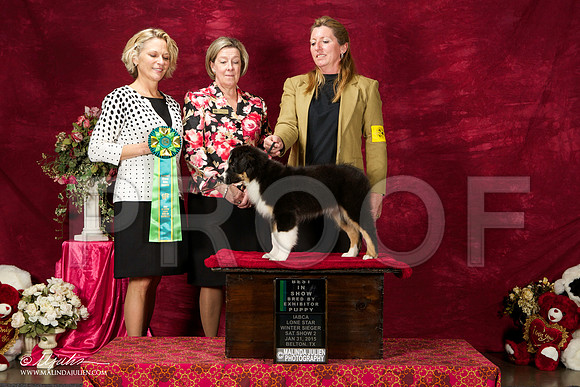 _ST_2686-BeltonJan2015IABCA-HR3