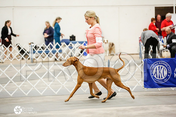 _RH_4110-AblnMay2014-web