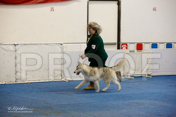 _M3_0194-AddisonHuskyMar2015-HR3