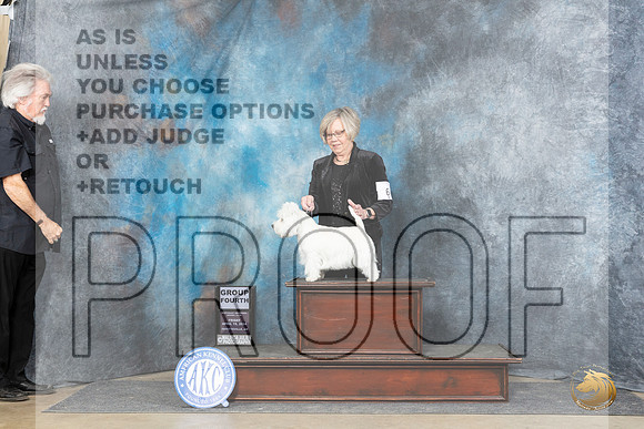 West Highland White Terrier #6 Fri G4 Judge Linda Hurlebaus__JP_5792_Fayetteville2024_HR3