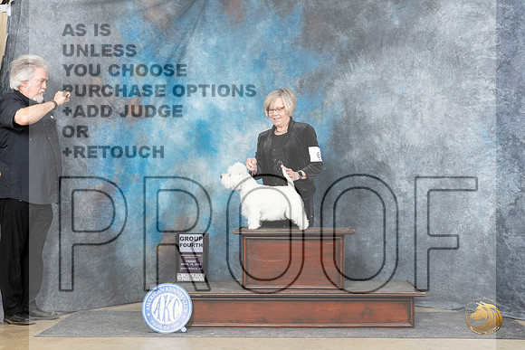 West Highland White Terrier #6 Fri G4 Judge Linda Hurlebaus__JP_5798_Fayetteville2024_HR3
