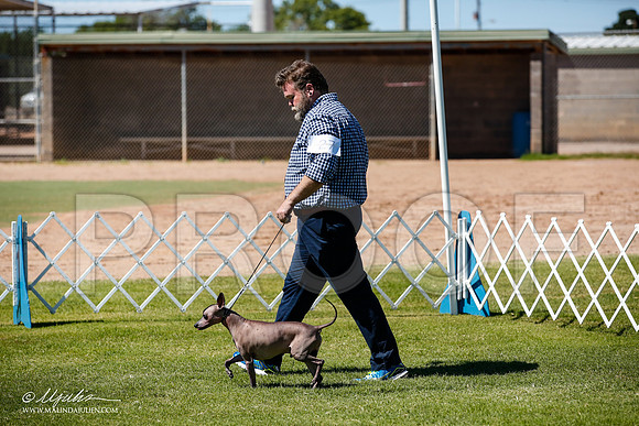 _JJ_8223-AlamogordoOct2014-HR3