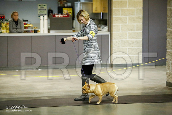 _JJ_5572-BeltonJan2015IABCA-HR3