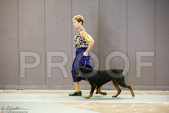 _J3L3193-BeltSep2014-HR