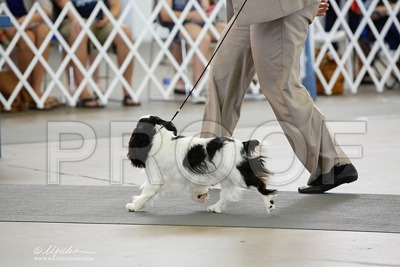 _CK_3354-DallasJul2014-HR3