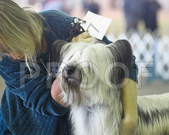 Skye Terrier - 0015-2