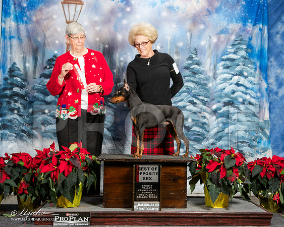 _ST_9345-DallasDec2014-HR3