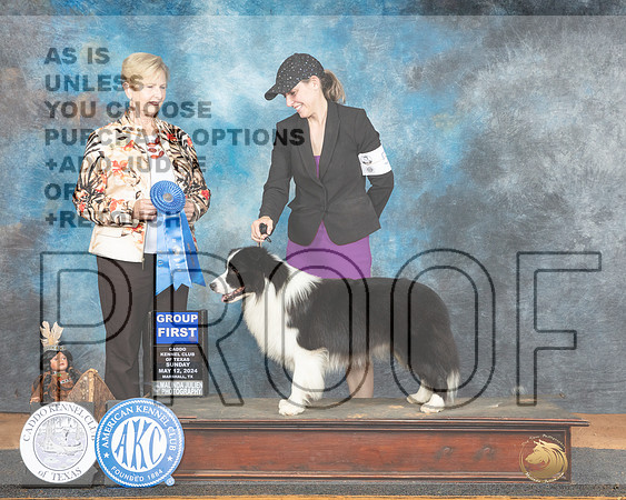 Border Collie #7 Sun G1 Judge Karen Hynek_JP_8679e_Marshall2024-HR3
