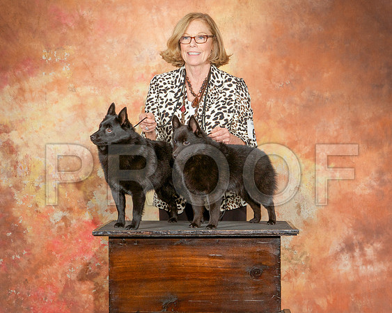_ST_2542-CarlrolltonSept2014-HR3