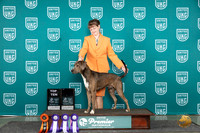 Mountain Cur #239 Fri RACEA