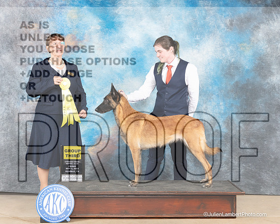 Belgian Malinois #6 Fro G3 Judge Nancy Eilks-_JP_9778e_CCKC2023-HR3