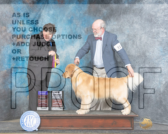 Golden Retriever #31 Sun BOBOHBOBGCH Judge Charles Olvis-_JP_5650e_Fayetteville2024-HR3