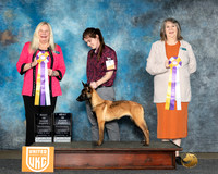 Clove Westhoff UKC Longview Apr 2024