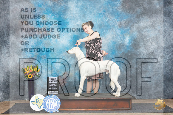 Saluki #600 Sat BJr Judge Judy Wade__JP_9791_Abilene_2024_HR3